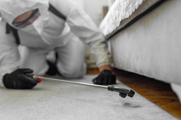 Professional Cockroach Control technician working in Waldport, OR